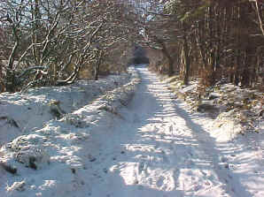 Falkirk in the snow at the site of the Battle of Falkirk 1745
