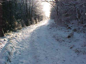 Falkirk in the snow at the site of the Battle of Falkirk 1745