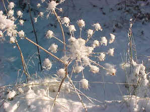Falkirk in the snow at the site of the Battle of Falkirk 1745