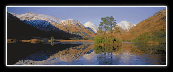 Glen Etive, Highland - with trees