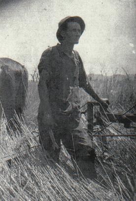 Farming the land - Daniel McLachlan 1889 - 1960
