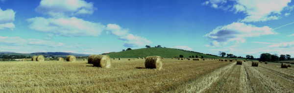 Harvest time, near Allander Toll in Dunbartonshire. Lands with links to Clan Graham & Clan Lennox.