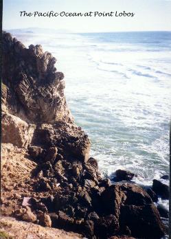 The Pacific Ocean at Point Lobos