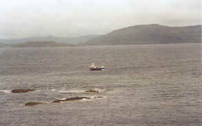 From atop Staffa Island, the launch that got us there. During the rocky voyage I kept repeating the sailor's prayer "Oh Lord, thy sea is so great, and my boat is so small." It must have worked.