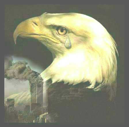 The American  Eagle