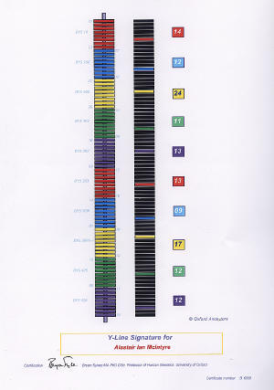 And this is my DNA Y-Line