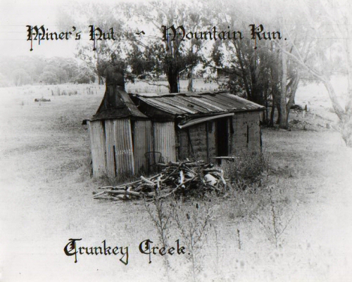 Miner's Hut - Trunkey Crk  NSW  - remains of miner's hut
